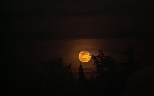 Ночная желтая Луна