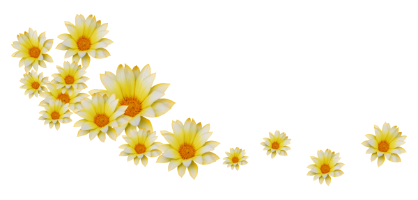 Цветы на прозрачной подложке