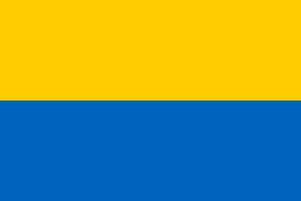 Флаг украинской народной Республики 1917