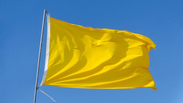Желтый флаг государства