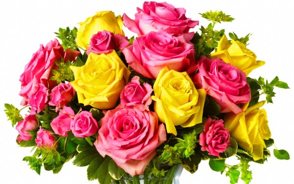 Букет роз разных цветов