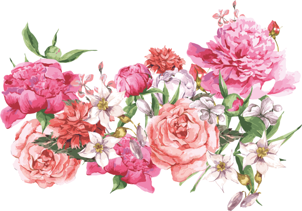Розовые цветы на белом фоне