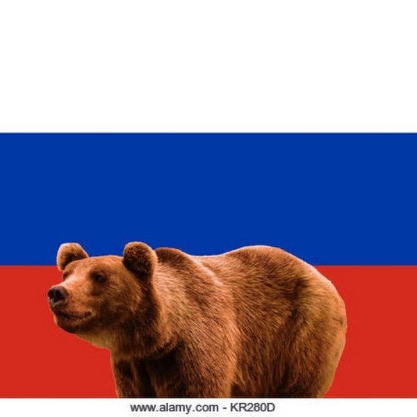 Бурый медведь символ России