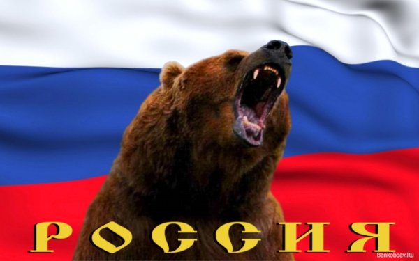 Медведь символ России