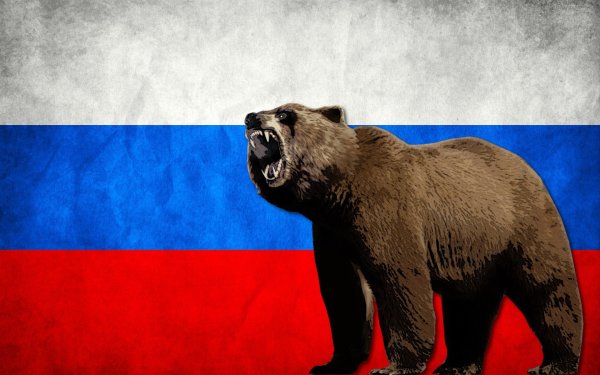 Бурый медведь с флагом России