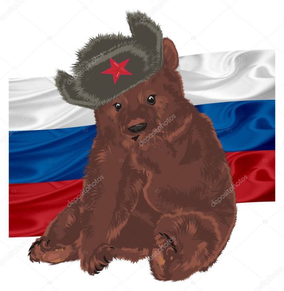 Российский флаг с медведем