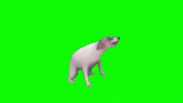 Танцующая собака на зеленом фоне
