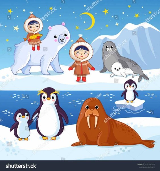Животные севера для детей Пингвин