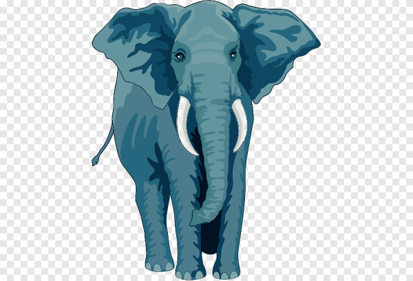 Слон без фона
