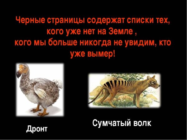 Животные из красной книги России черная страница