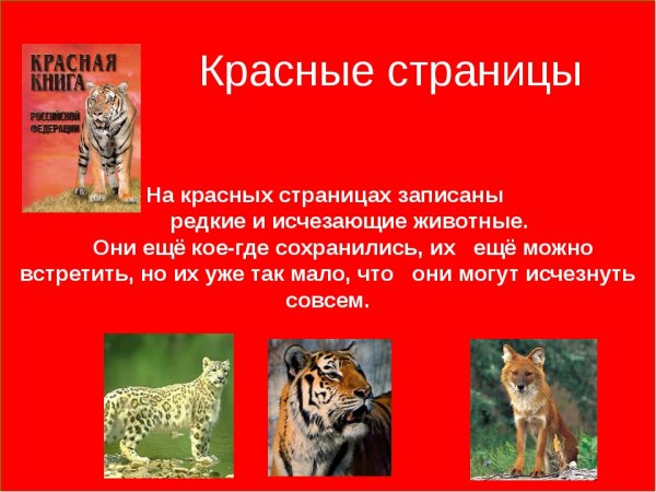 Красные страницы красной книги России животные