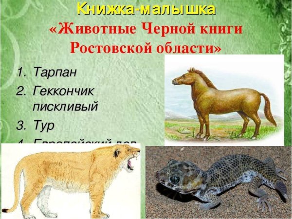 Животные черной книги России