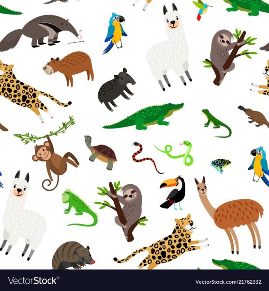 Рисунки животных Южной Америки
