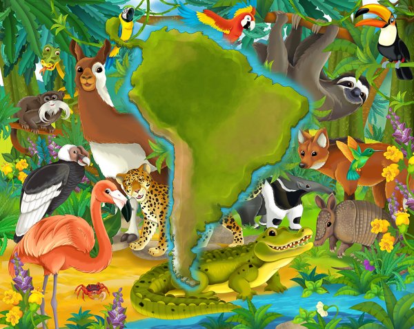 Животные Южной Америки на одной картинке