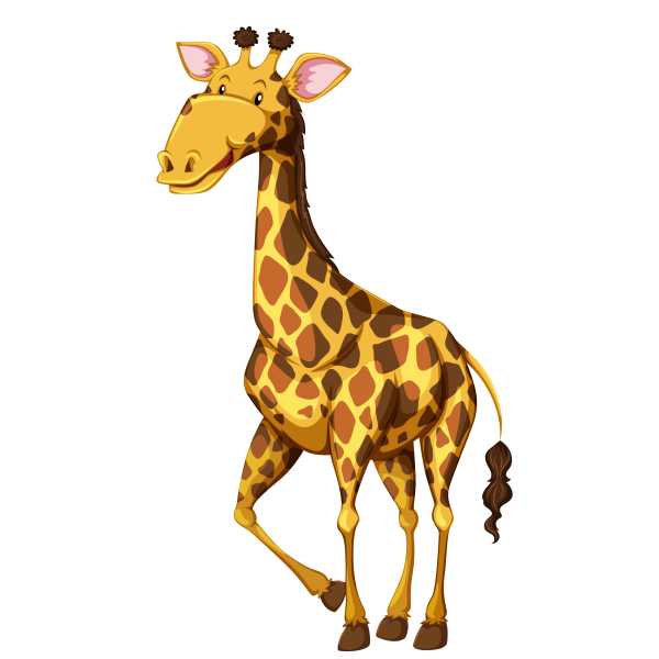 Животные жираф на белом фоне