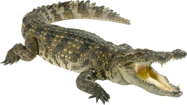 Фигурка нильского крокодила