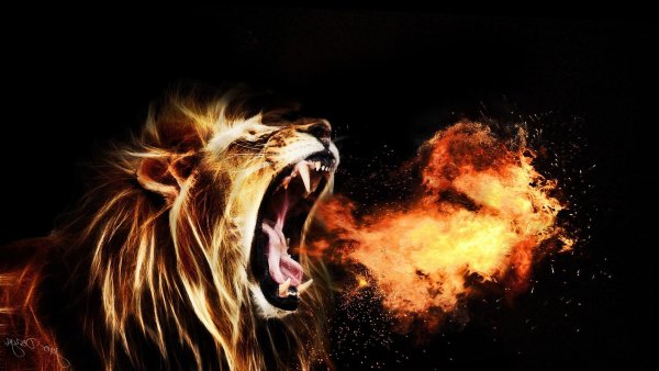 Огненный Лев