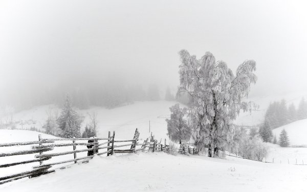 Зимний пейзаж черно белый