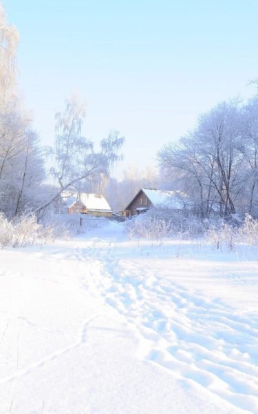 Снежная зима в деревне