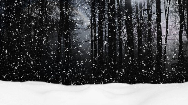 Снег на темном фоне