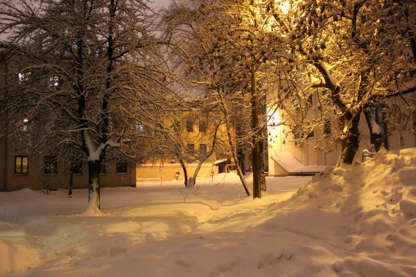 Ночной зимний двор