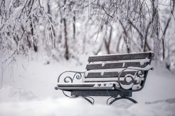 Зимний фон со скамейкой