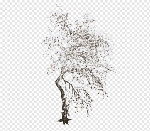Зимнее дерево на прозрачном фоне