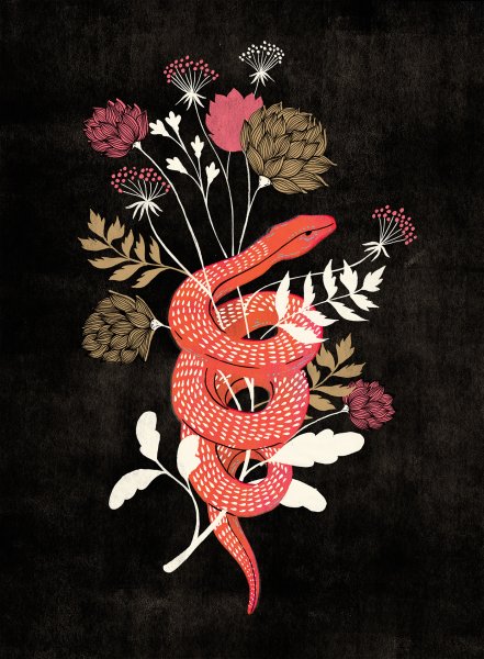 Цветок и змея