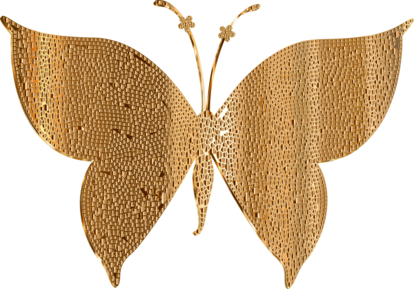 Бабочки золотого цвета