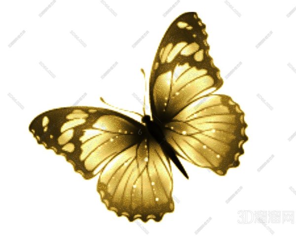 Золотая бабочка на белом фоне