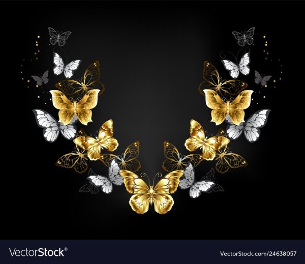 Черно золотые бабочки