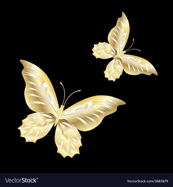Золотистые бабочки на черном фоне