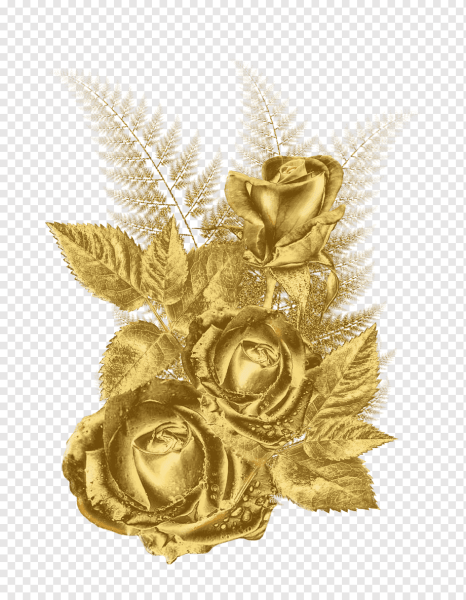 Золотые цветы на прозрачном фоне