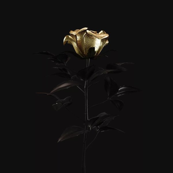 Золотая роза на черном фоне