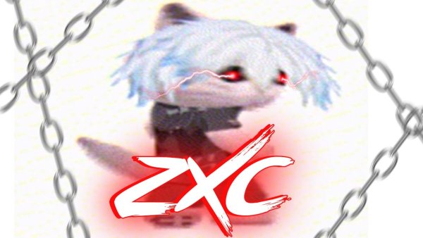 Zxc кот