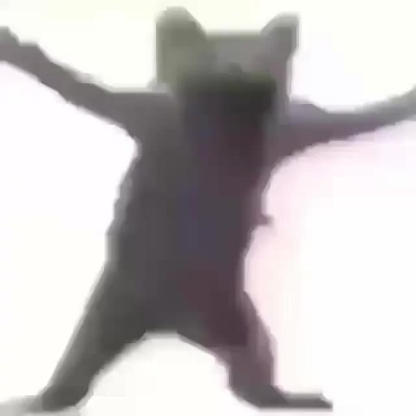 Танцующий кот gif