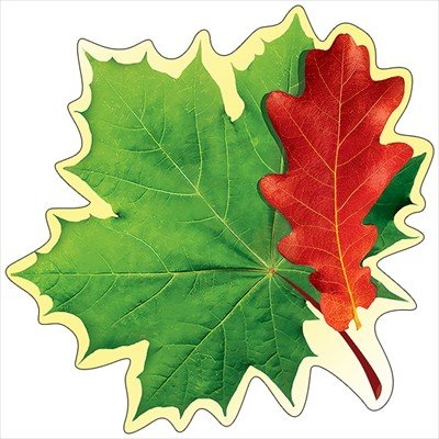 Шаблон цветные кленовые листья (46 фото)