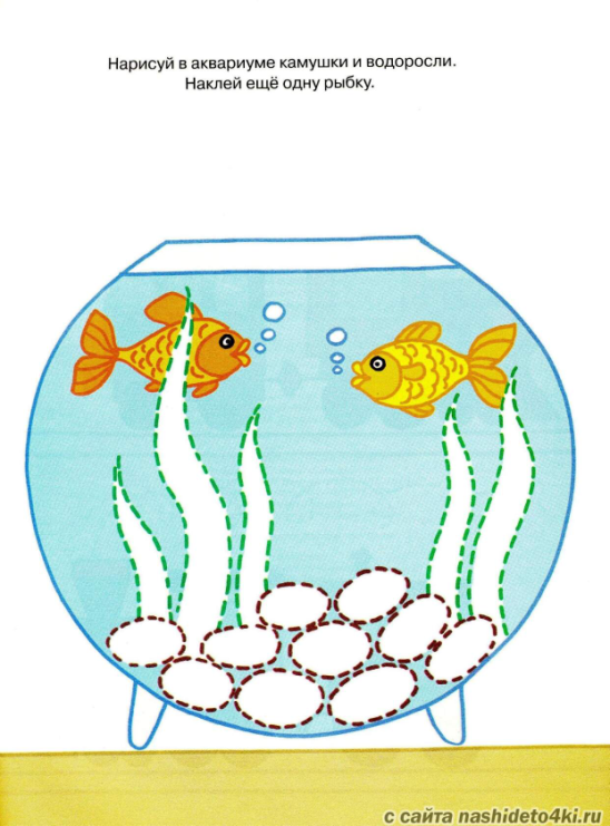 Занятия аквариумные рыбки