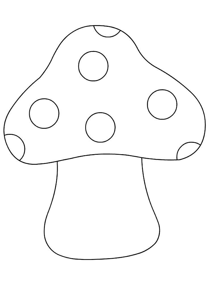  50 