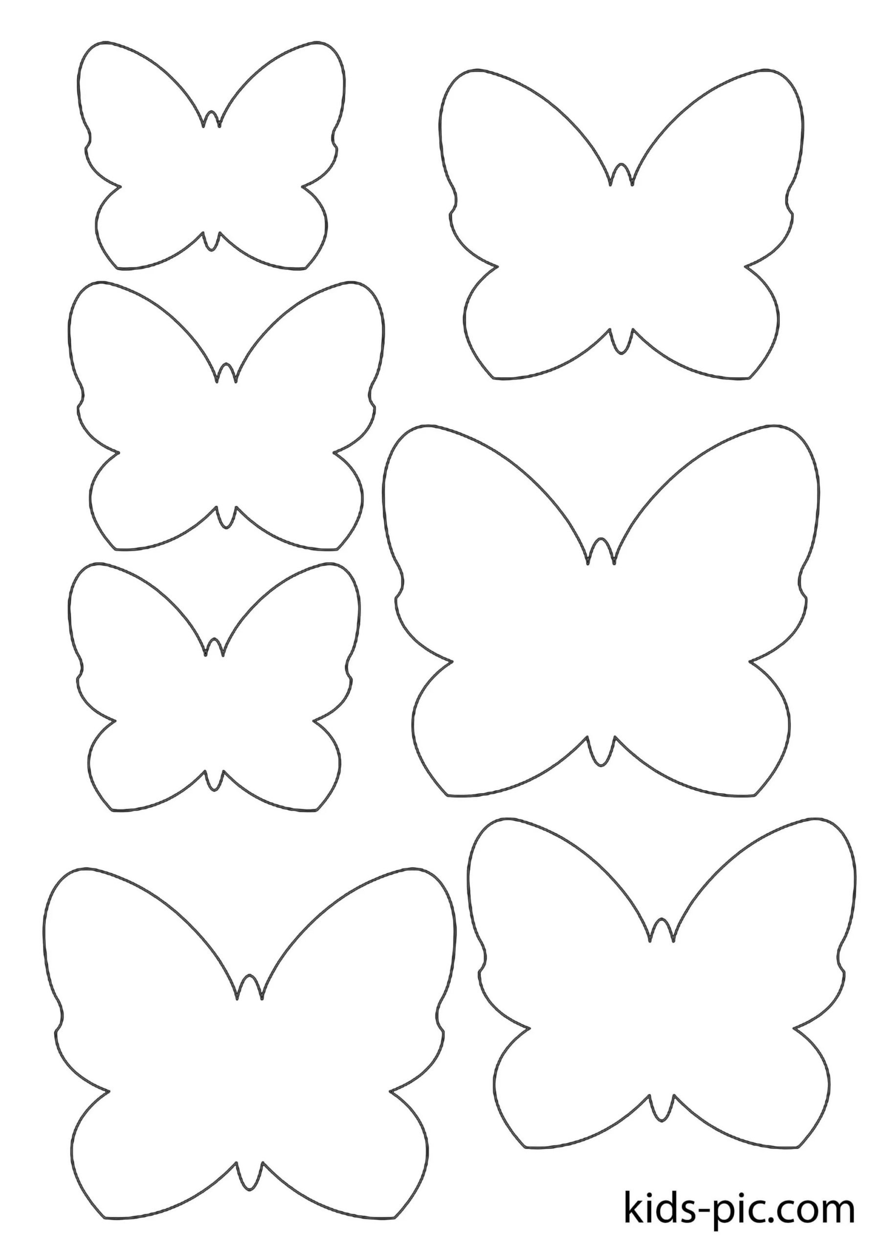Шаблон бабочки разных размеров (47 фото) »  для вырезания и .