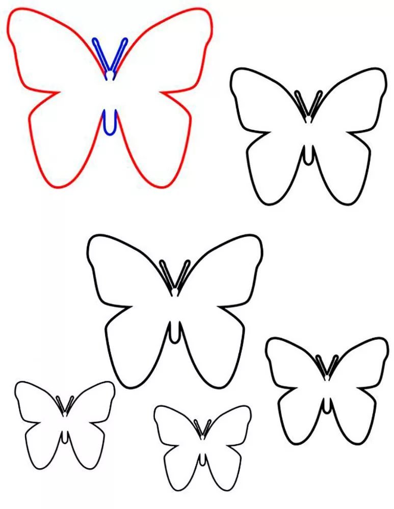 Шаблон бабочки разных размеров (47 фото) »  для вырезания и .