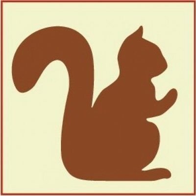 Трафарет белки для аппликации