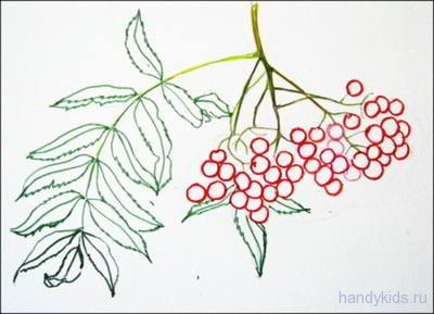 Ветка рябины рисунок