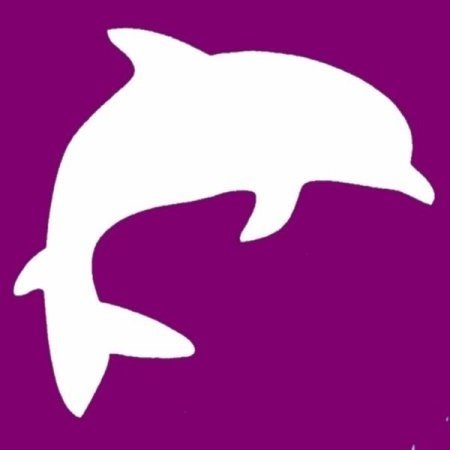 Шаблон дельфина (44 фото)
