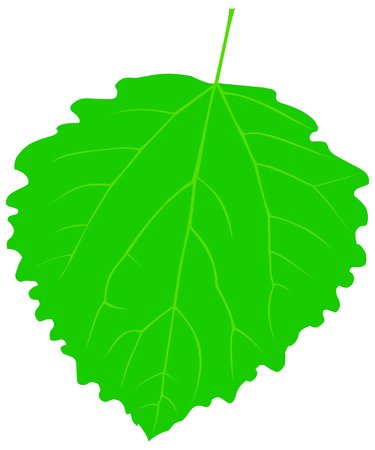 Листья осины для вырезания
