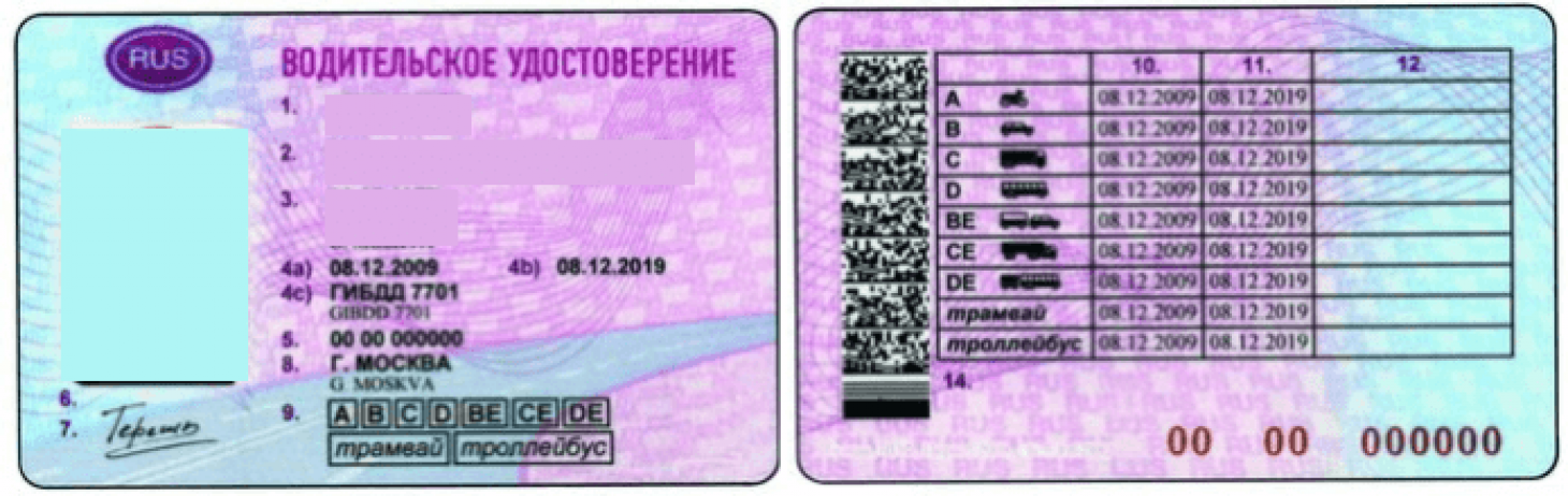 Образец водительских прав. Расшифровка прав россии