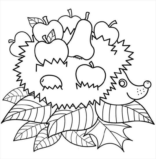  49 