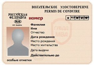 Шаблон водительских прав