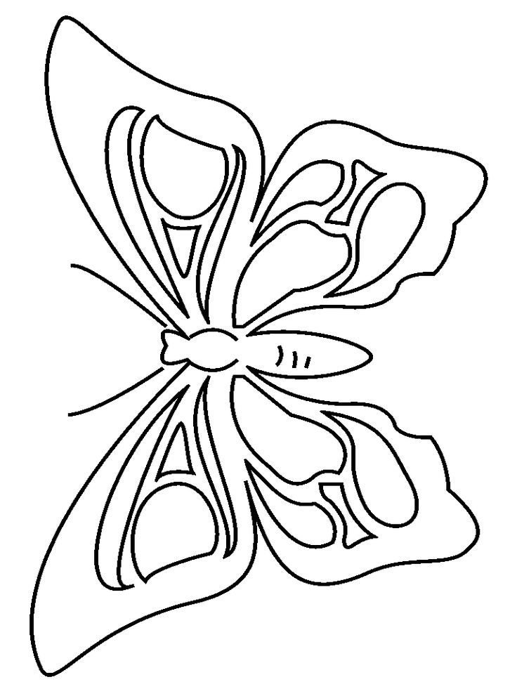  48 