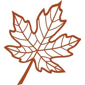 Трафареты осенних листьев